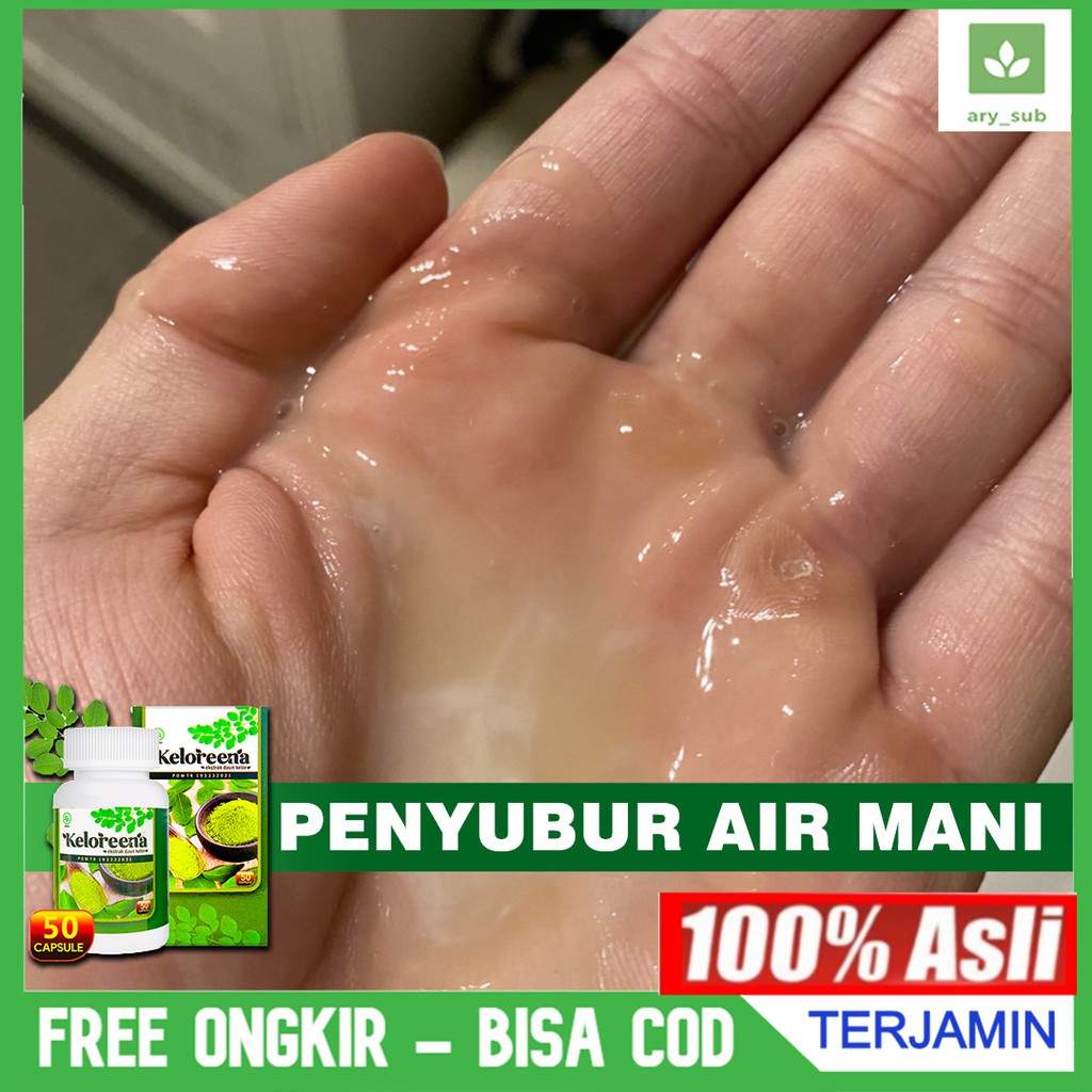 Obat Kesuburan Penyubur Pengental Air Mani Encer Pria Herbal Keloreena  Kapsul 100% Original Asli | Shopee Indonesia