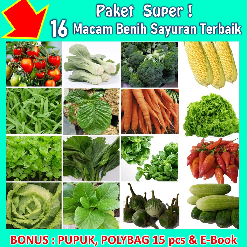 Paket Bibit Benih Unggul 16 Macam Sayuran Agromulya Free 3 bonus