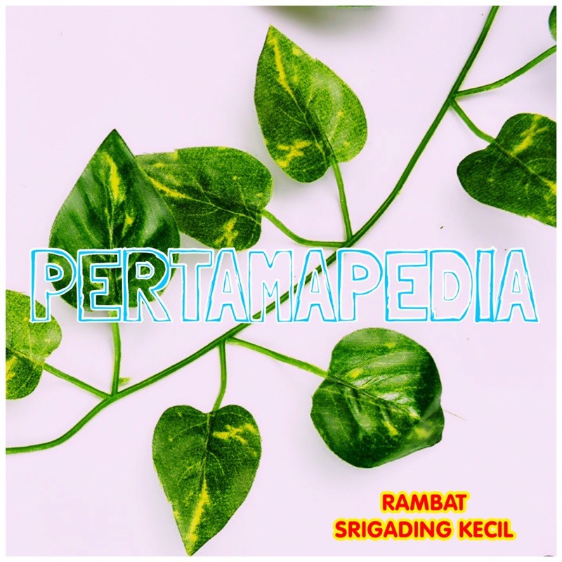 Daun Rambat Kecil/Daun Rambat Plastik/ Bunga Plastik/ mRumput Plastik