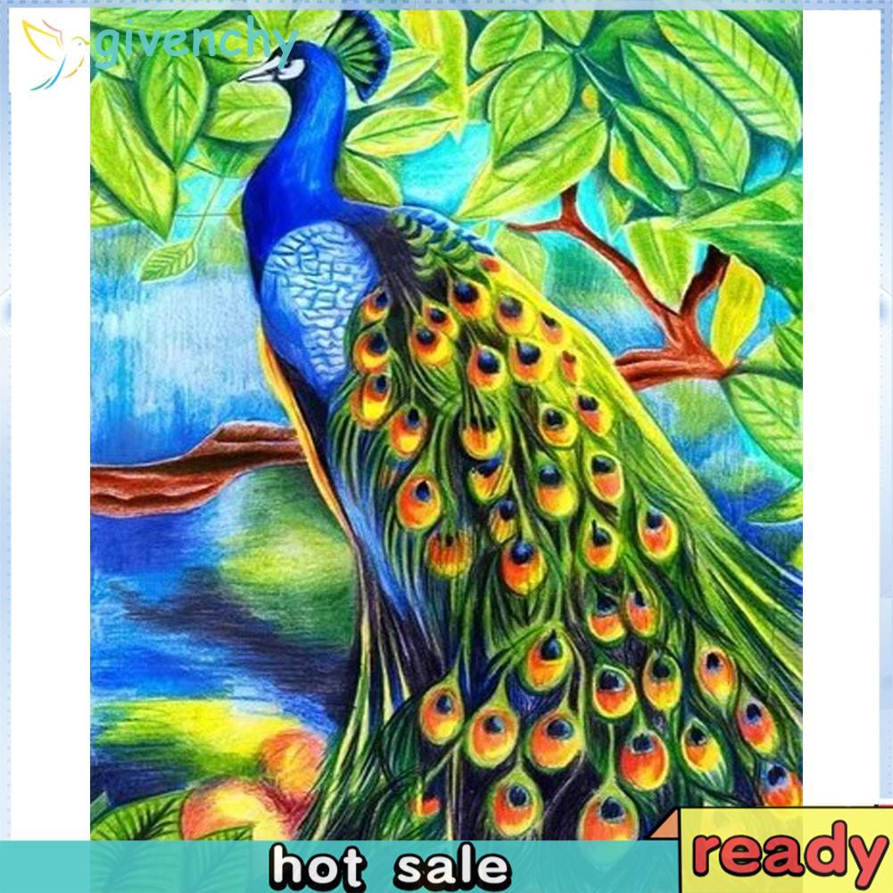 Gambar Burung Merak Inapg Id