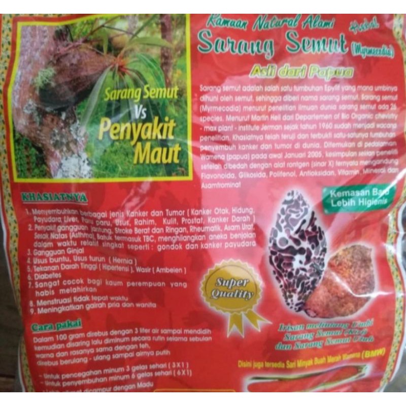 Jual SARANG SEMUT PAPUA Indonesia|Shopee Indonesia