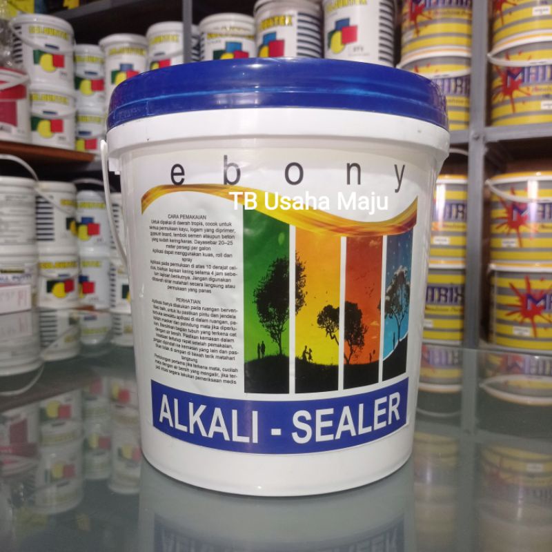 Jual Ebony Sealer Alkali / Cat Dasar Tembok Dinding Interior Eksterior kemasan 5kg EKONOMIS Grab