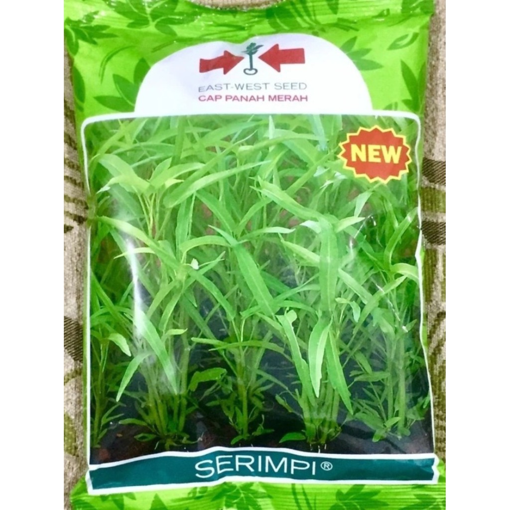 Benih Kangkung Daun Lancip Panah Merah