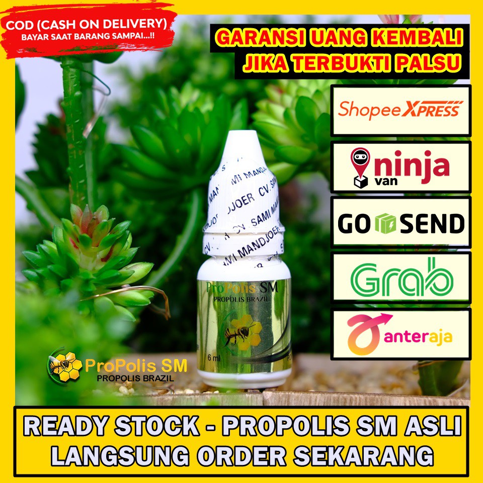 Obat Telinga Keluar Cairan dan Berbau.Telinga Berair. Telinga  Berdenging.Gendang Telinga Bolong | Shopee Indonesia