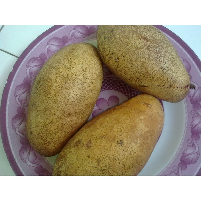 Buah Kemang | Shopee Indonesia