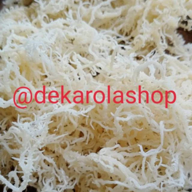 Rumput Laut Kering Manfaat Kylectx