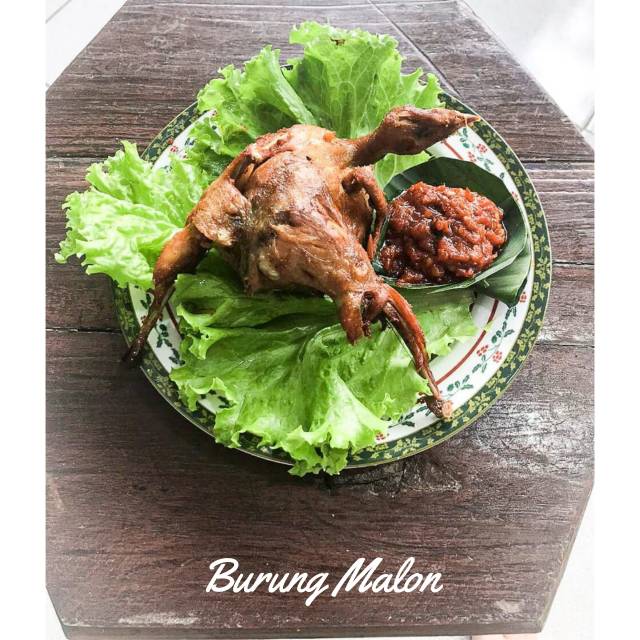 FROZEN FOOD - BURUNG MALON / BURUNG PUYUH | Shopee Indonesia