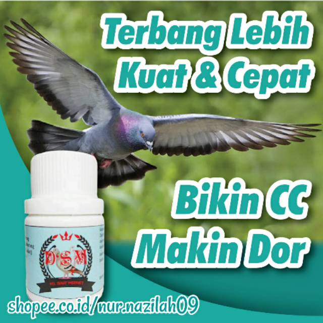 Jual Jamu Herbal Untuk Stamina Merpati By Pil D'sm Sehat Merpati | Shopee Indonesia