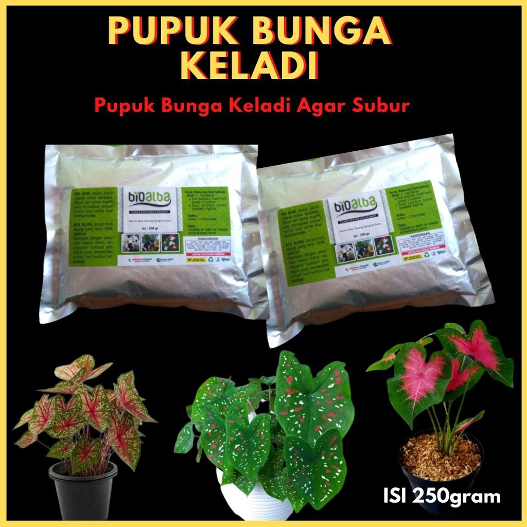 Pupuk Bunga Keladi &ldquo;BIO ALBA&rdquo;, Pupuk Tanaman Hias Bunga Mawar Aglonema  Kamboja | Shopee Indonesia