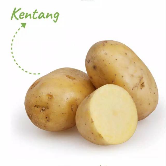 Kentang Ukuran Besar / Berat 500 gram | Shopee Indonesia