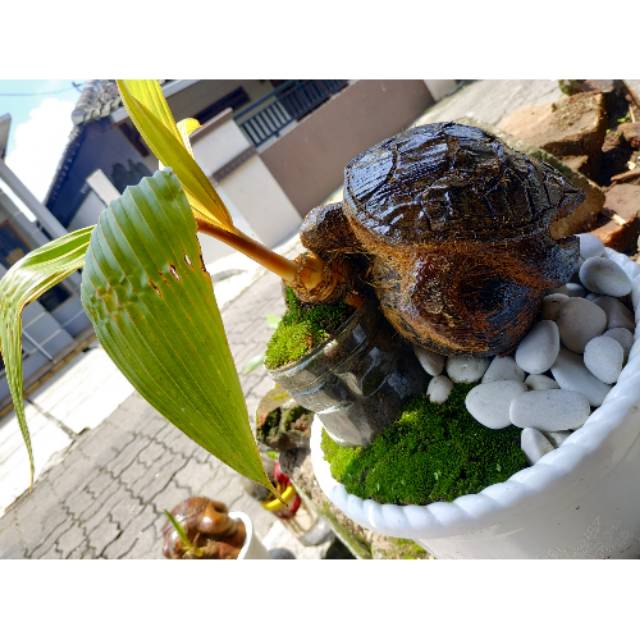 Toko Online Irdimardiyanto | Shopee Indonesia