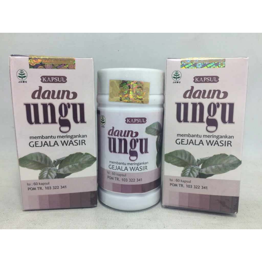 Obat Wasir Kapsul Daun Ungu Obat Herbal Wasir Ambeien Ambeyen