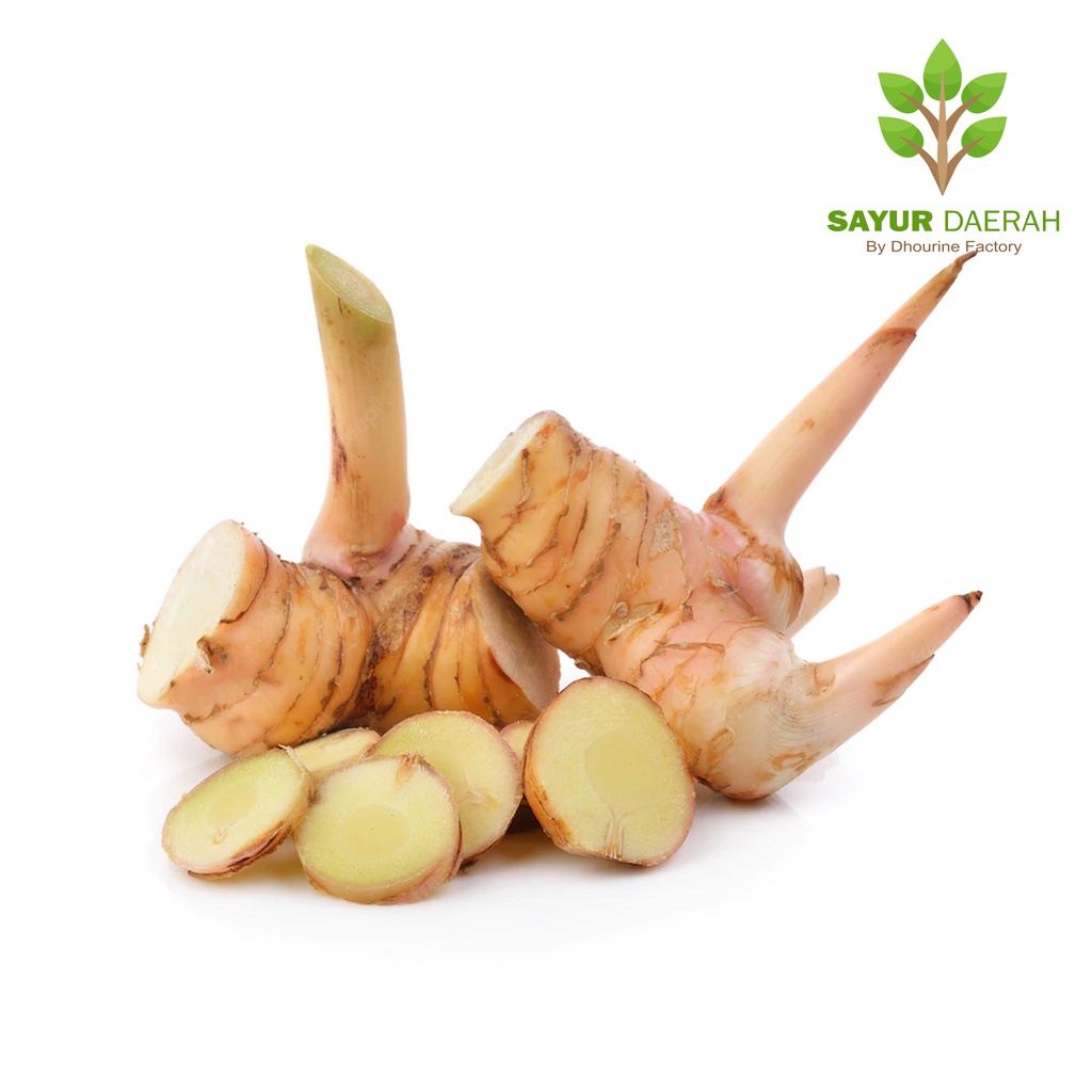 Jual Lengkuas Laos Laja Premium 500 Gr Sayur Daerah