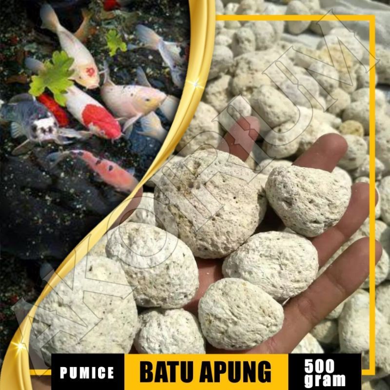 Batu Apung: Solusi Alami untuk Air Bersih dan Sehat