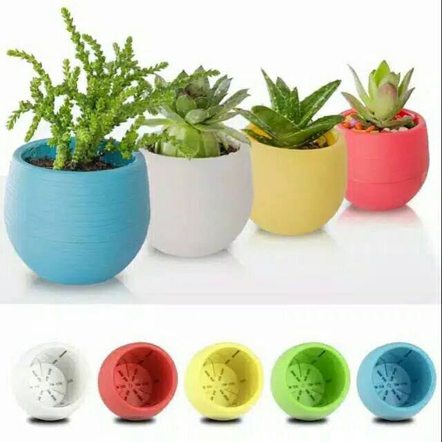 Vas pot bulat/pot sukulen/pot kaktus/vas sukulen/vas kaktus/vas pot  warna/vas pot plastik | Shopee Indonesia