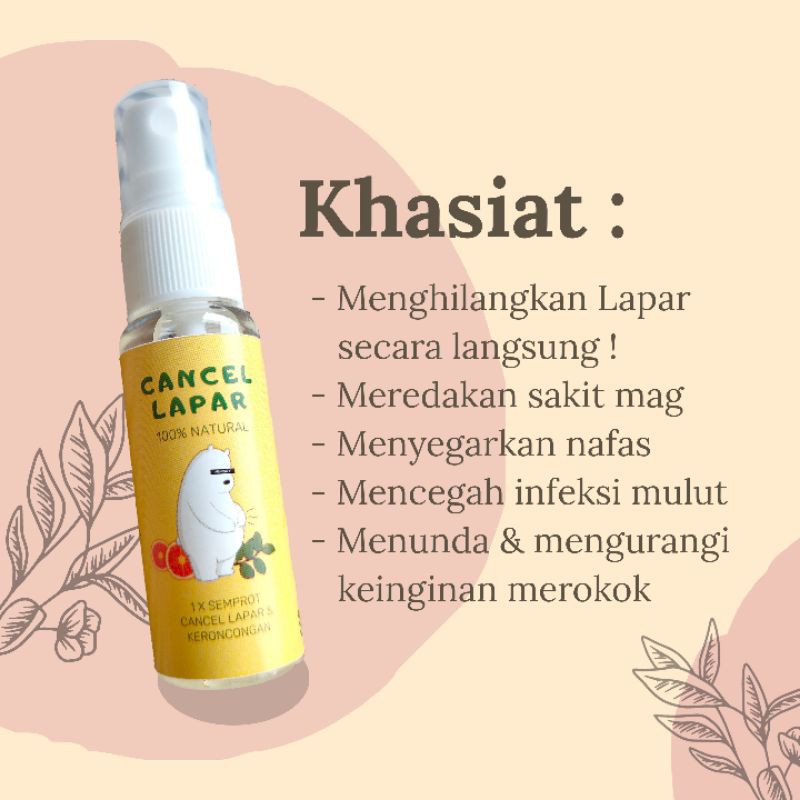 Cancel Lapar Spray (Herbal penghilang penurun menunda lapar diet) | Shopee  Indonesia