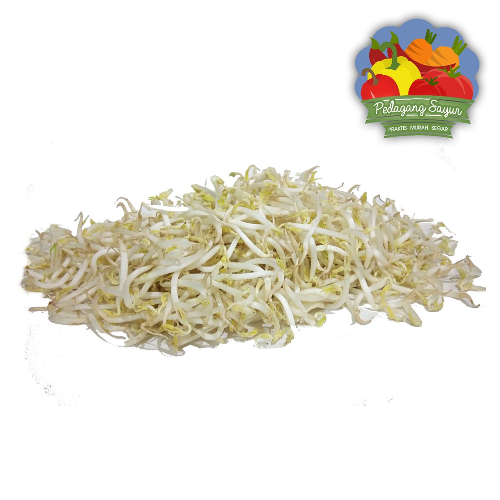 Toge / Tauge Panjang 250 gram Shopee Indonesia