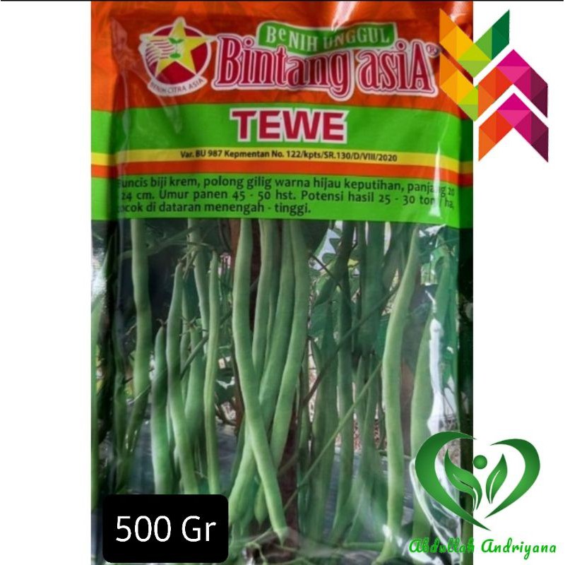 Benih Buncis Biji Krem TEWE isi 500Gr Bibit Buncis Produk BINTANG ASIA