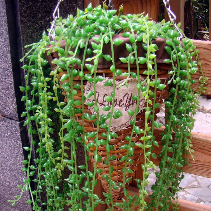 L Artificial Hanging Plants Fake SucculentsGreenDec