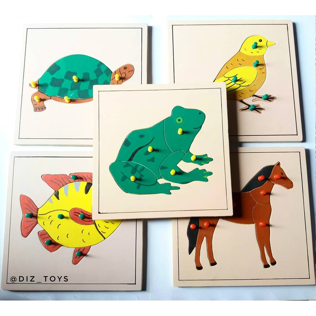 Zoology Puzzle Montessori Shopee Indonesia