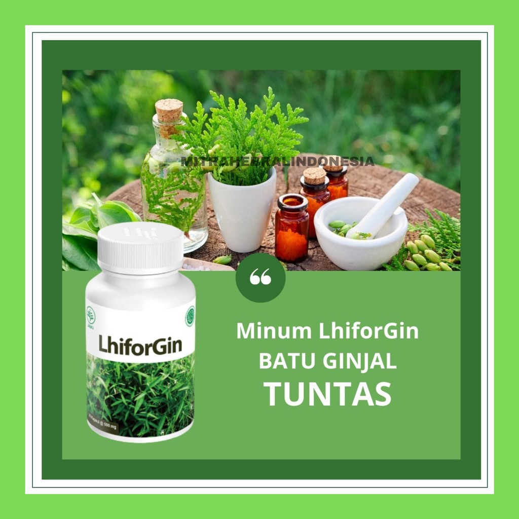 Jual Obat BPOM Herbal untuk Batu Oksalat Ginjal Saluran Kemih
