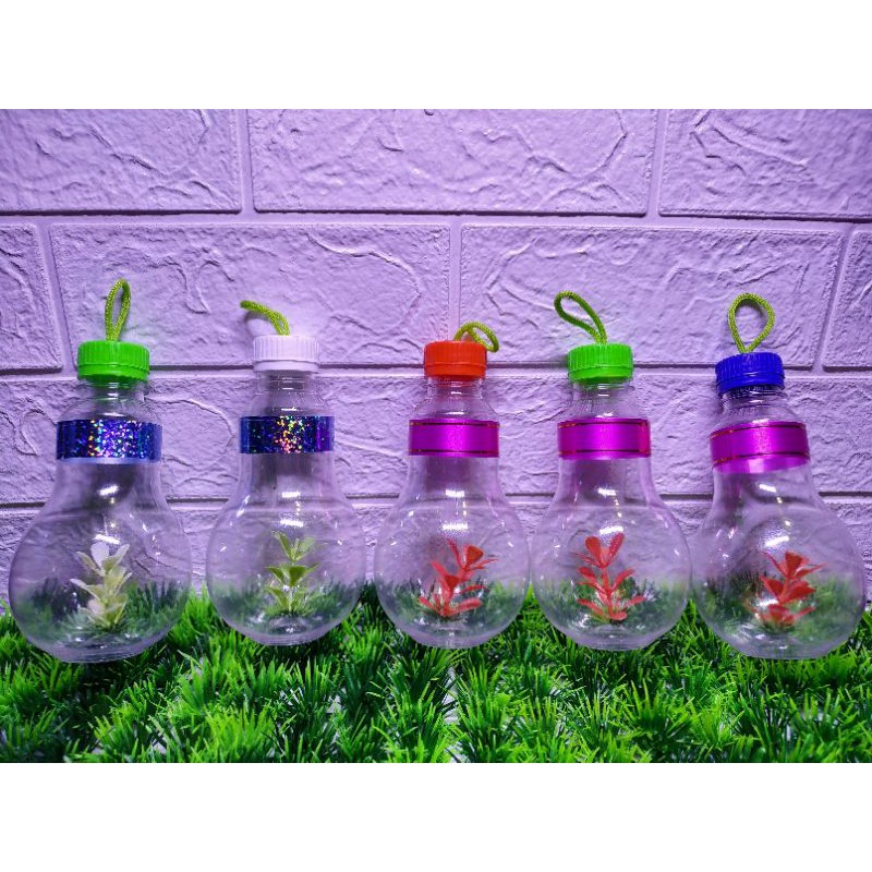 AQUARIUM PLASTIK IKAN CUPANG | Shopee Indonesia