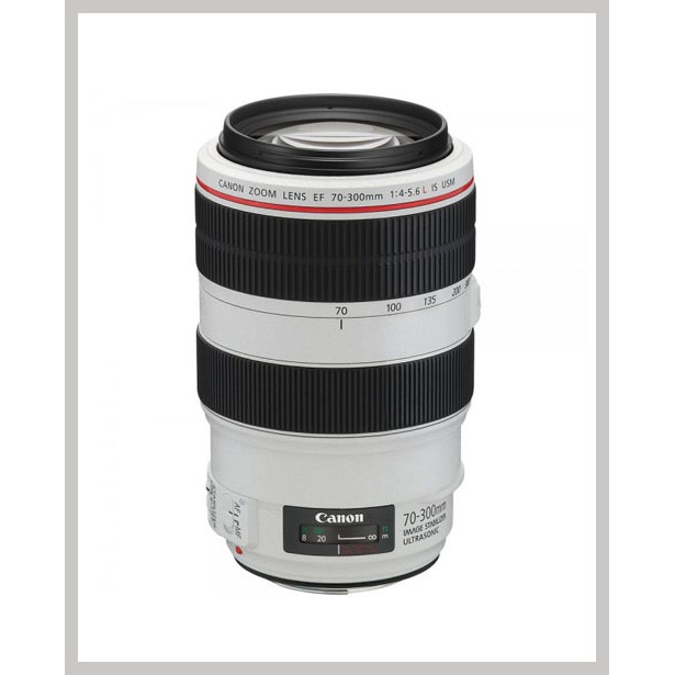 Jual Lensa Canon Ef 70-300 Mm F/4-5.6 L Is Usm | Shopee Indonesia