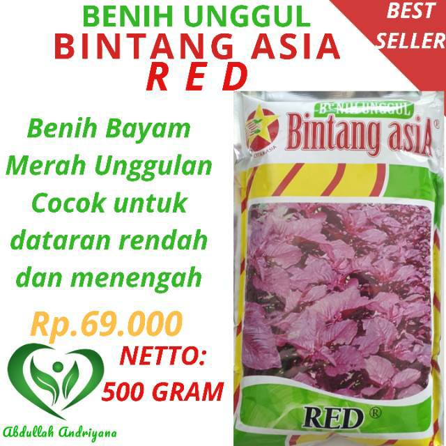 Cool Harga Bibit Bayam References