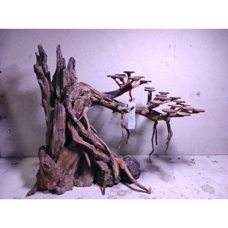 Jual BONSAI AQUASCAPE 30CM HIASAN AQUARIUM HARDSCAPE Shopee Indonesia