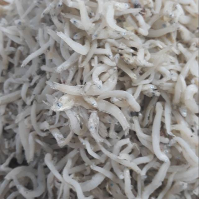 Ikan Teri Nasi Toge Medan Super 250gr Shopee Indonesia