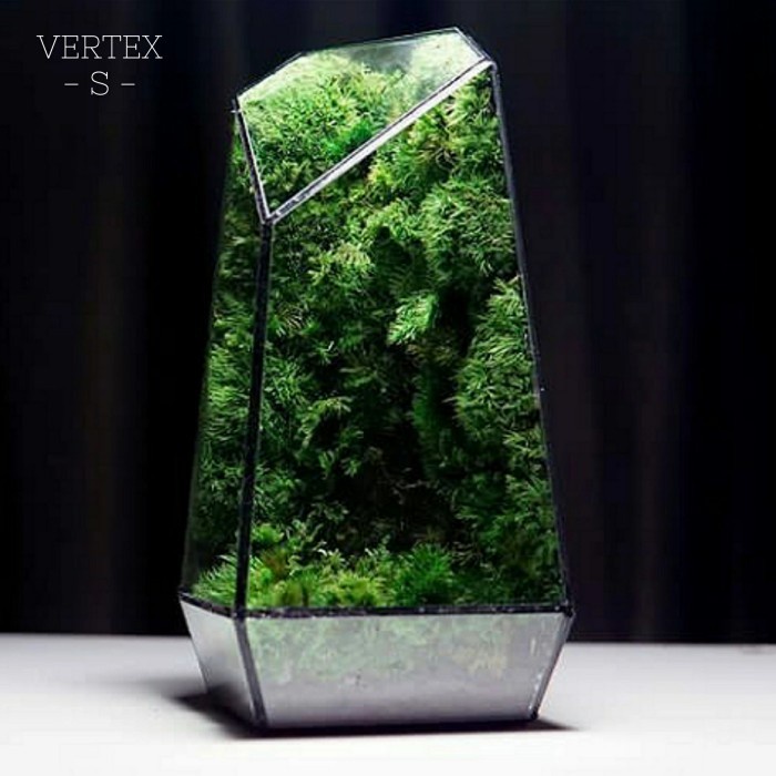 Jual Terrarium Vertex Closed Terrarium Terrarium Jakarta S, Kaca
