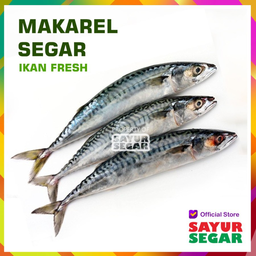 Jual Ikan Makarel / Mackerel [500G] Fresh Shopee Indonesia