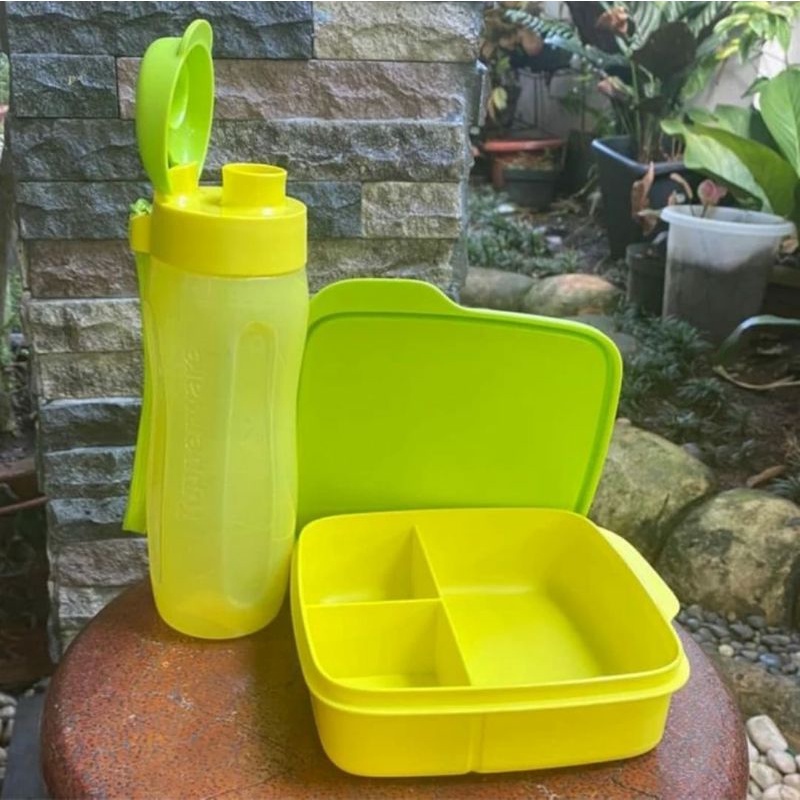 Jual Tempat Makan Minum Anak Tupperware Shopee Indonesia