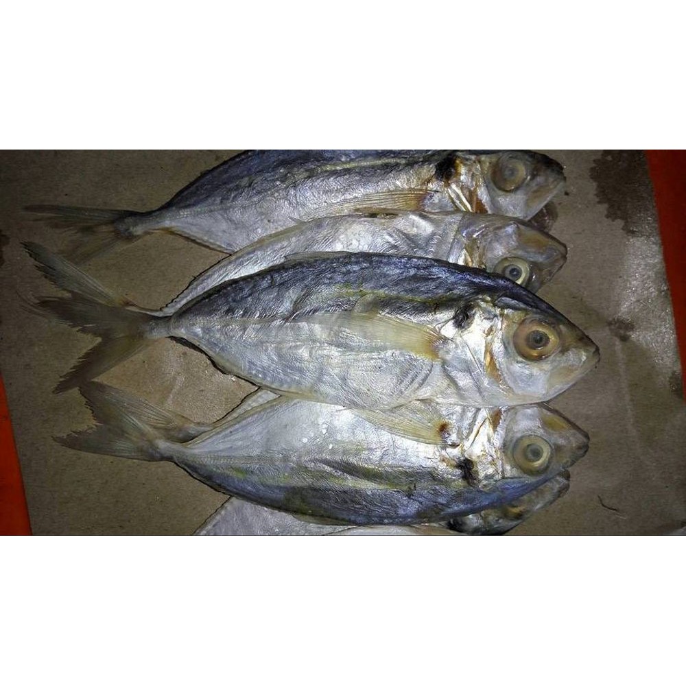 Ikan Asin Peda Kecil 250 gram SAYUR ONLINE BANDUNG Shopee Indonesia