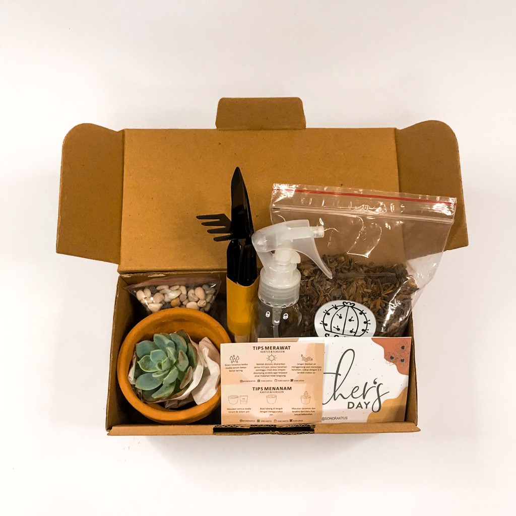 Premium Hampers Kaktus & Sukulen Hias Mini (Paket 1) Shopee Indonesia