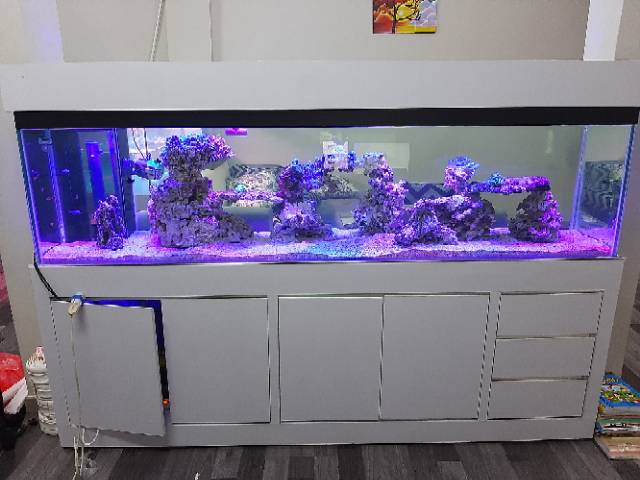 Jual Paket Aquarium 1Meter Full Set Up | Shopee Indonesia