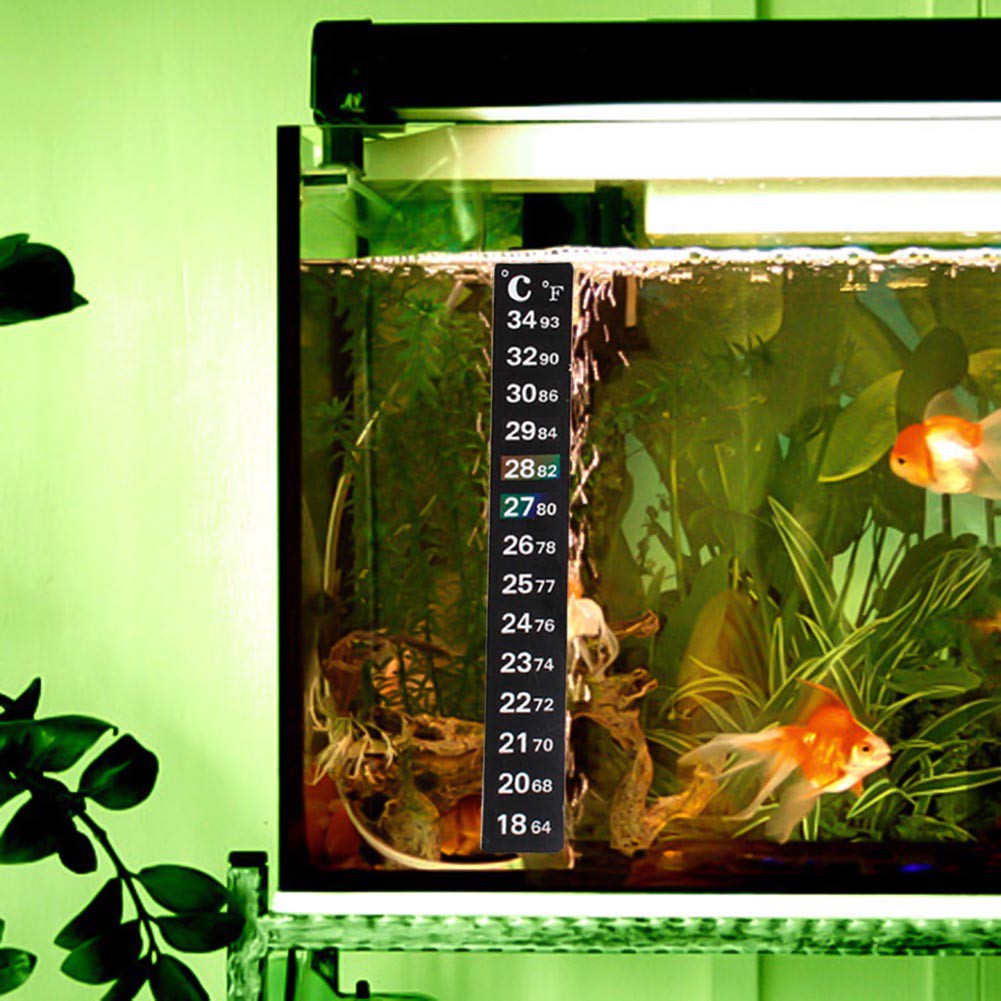 25+ Inspirasi Keren Stiker Aquarium Lucu Aneka Stiker Keren