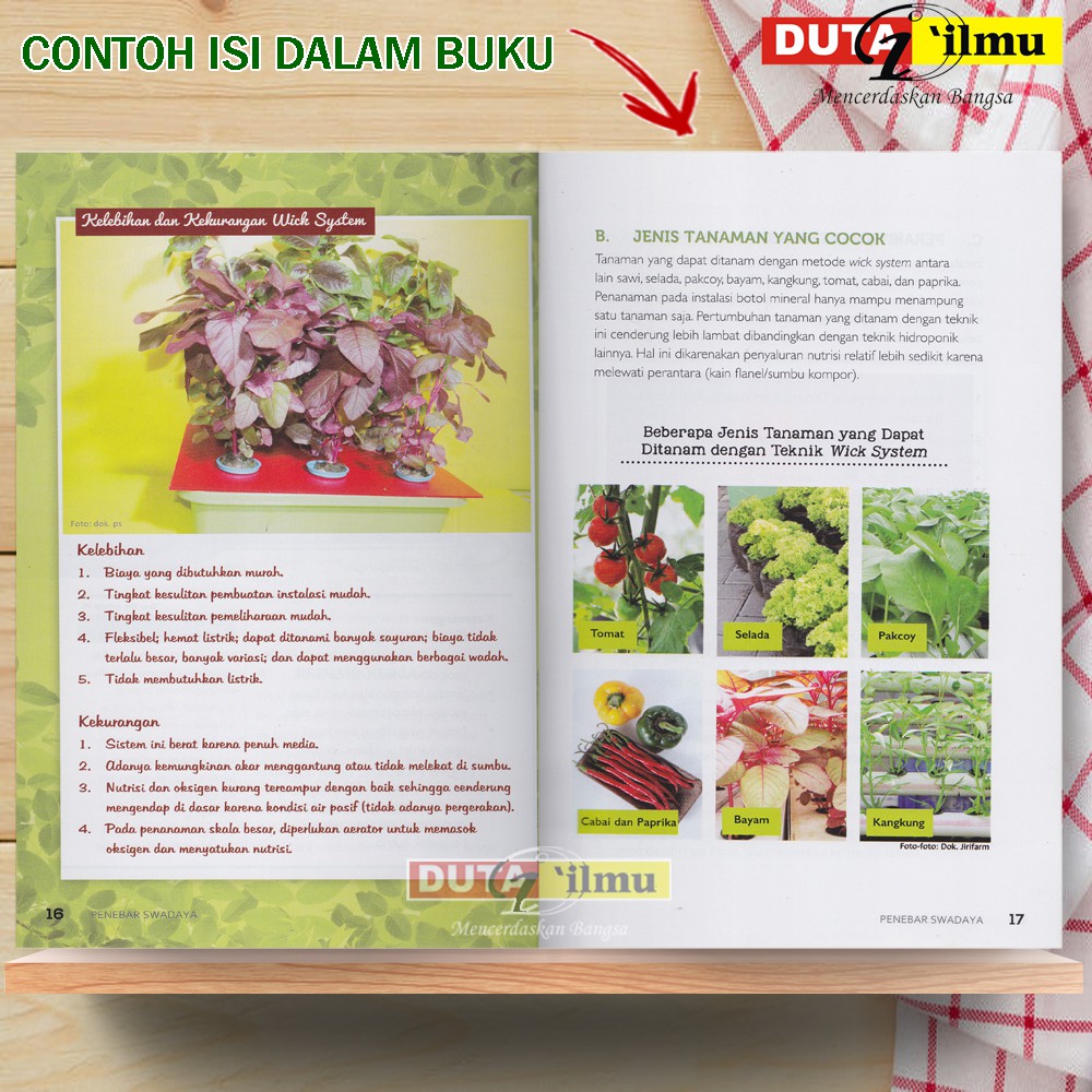 Teknik Dasar Hidroponik cara membuat hidroponik
