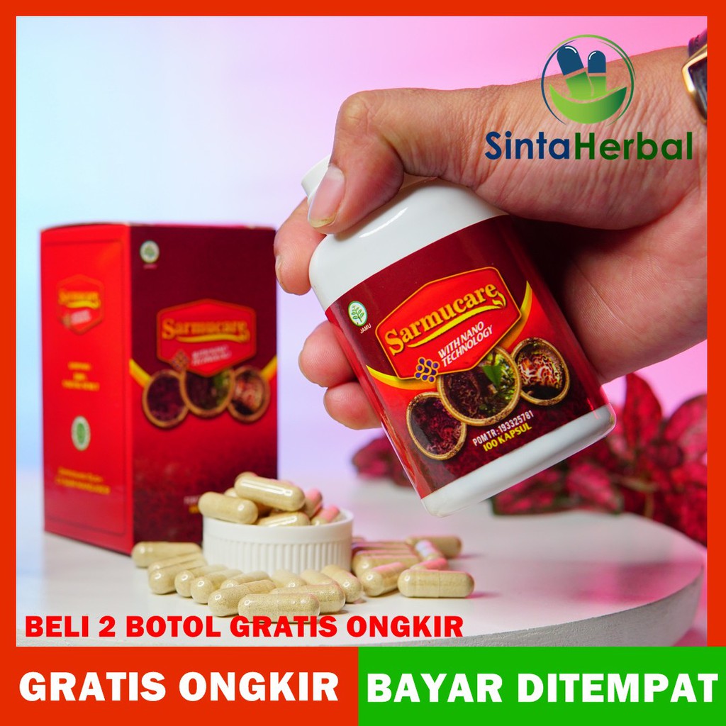 Sarmucare Kapsul Asli 100 Sarang Semut Papua Obat