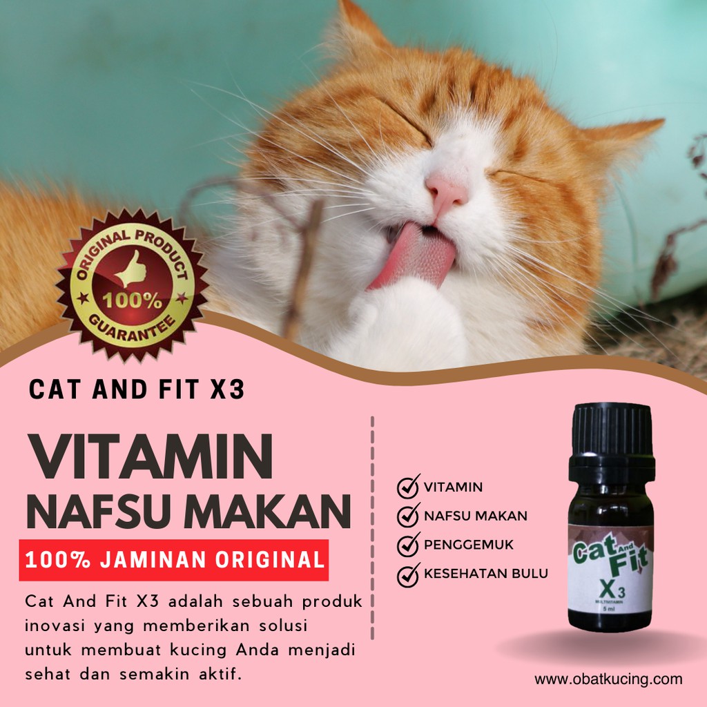 MULTIVITAMIN CAT AND FIT X3 KUCING AGAR NAFSU MAKAN DAN MENAMBAH BERAT
