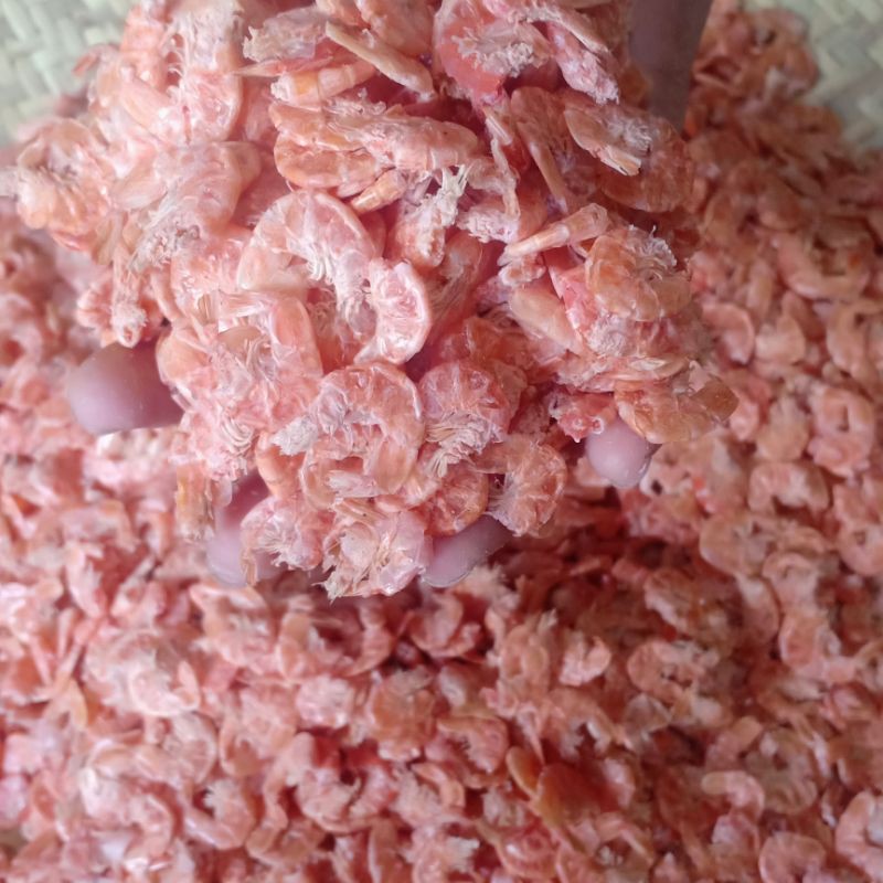 Jual EBI/ UDANG KERING/ HEBI TAWAR PREMIUM Shopee Indonesia