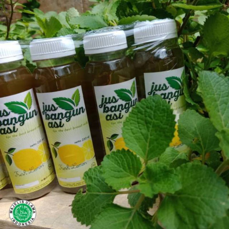 Jual ASI BOOSTER JUS BANGUN BANGUN SEGAR BOOSTER ASI Shopee Indonesia