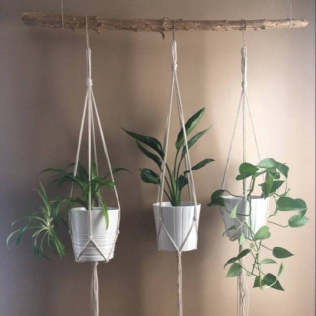 TALI SAJA TIDAK PAKAI POT / PH 001 DAN PH016 / PLANT HANGER / POT
