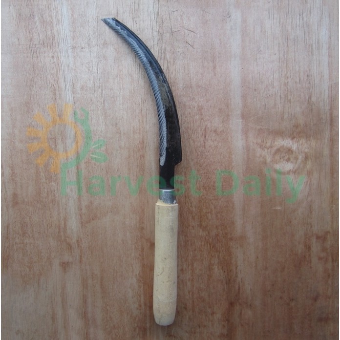 Sabit Bergerigi Kecil Alat Pertanian | Shopee Indonesia