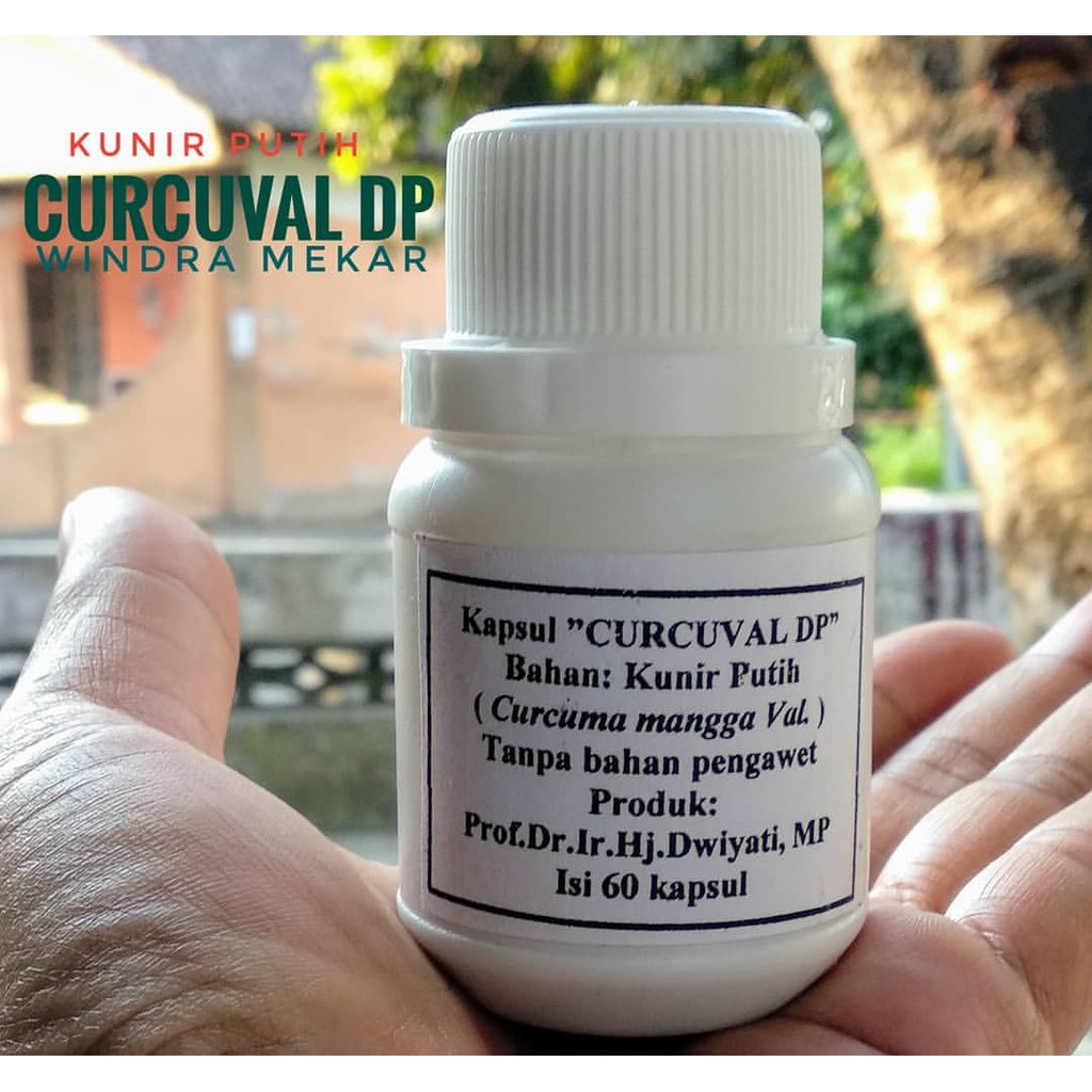 Kunir Putih Obat Kanker Keputihan Kista Myom Tumor Dan