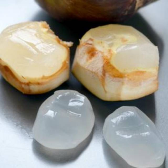 Perbedaan Buah Lontar Dan Kolang Kaling Terkait Perbedaan