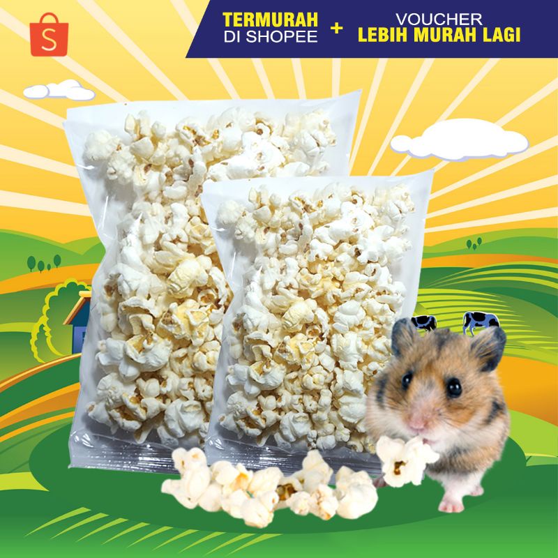 Jual POPCORN Popcorn Hamster Snack Hamster Camilan Hamster Treat