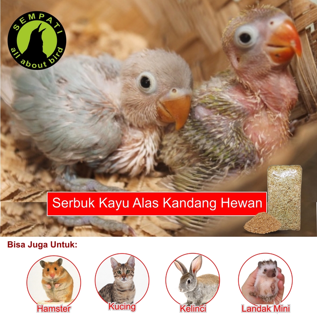 Jual SERBUK KAYU GERGAJI HALUS ALAS KANDANG UNTUK ANAKAN PIYIK BURUNG  HAMSTER LANDAK MINI KELINCI KUCING Indonesia|Shopee Indonesia