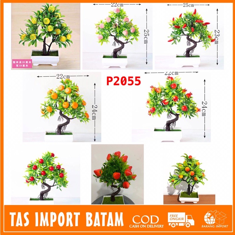 TIB / COD P2055 Tanaman hias pohon buah mini untuk dekorasi ruangan Shopee Indonesia