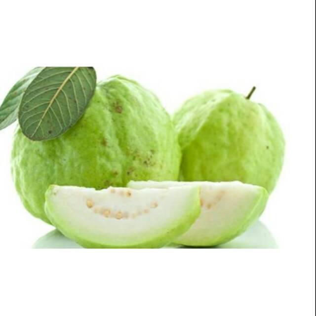 Jambu biji putih Shopee Indonesia